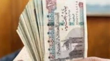 وزير المالية يعلن تفاصيل جديدة حول زيادة الرواتب والحد الأدنى للأجور